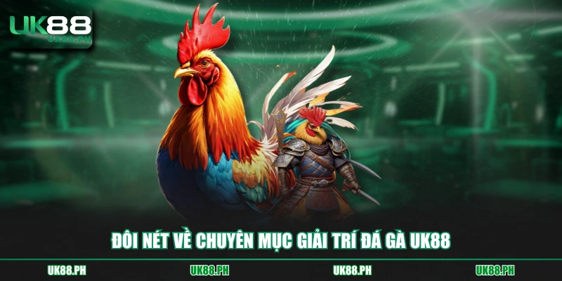 Đôi nét về chuyên mục giải trí đá gà UK88
