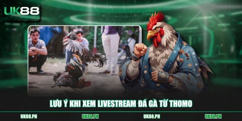 Lưu ý khi xem livestream đá gà từ Thomo